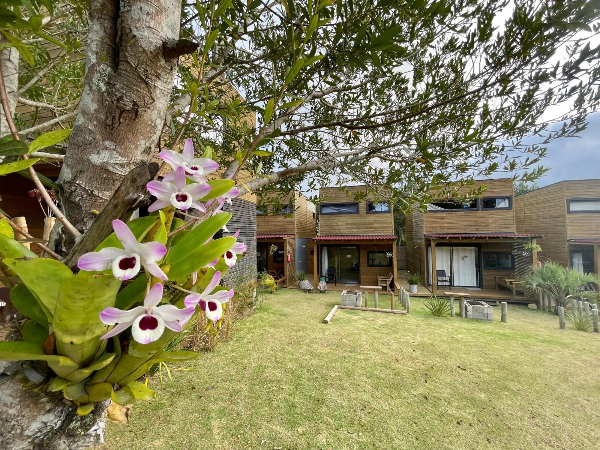 Rosa Lodge Lofts Прайя-ду-Роза Экстерьер фото